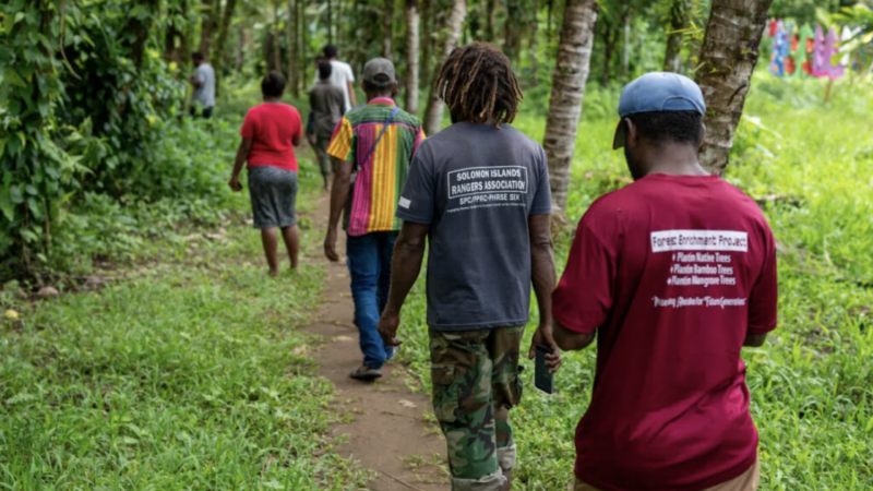 A line of about 5 people walking on a path in a rainforest.